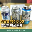맹맹 | 무알콜 맥주 0.00 임산부가 비교한 논알콜 맥주 3종 후기 (카스, 하이트, 클라우드)