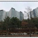 여월휴먼시아5단지아파트 | 부천 여월휴먼시아5단지 아파트 경매물건