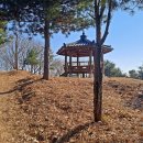 대설이 뒷걸음 치는 봄날 같은 날씨! - 울산시 범서읍 작은 산들과 울산 태화강국가정원 돌아보기~ 이미지