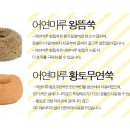 어연