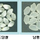 도담식품