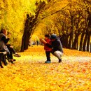 청파로(동측) 이미지