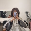 의정부역 | 의정부역 미용실 네이처헤어 염색 후기