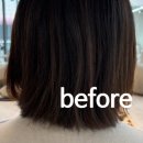 작품하나 미용실 | 청담동 커트 잘하는 미용실 피트강아티잔 백관희 디자이너님 커트 염색 후기