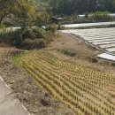 귀천농장 이미지