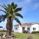 우도힐링펜션 이미지