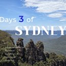 알뜰식품점 | 시드니여행 3일차 페더데일 오픈런 세자매봉 로라마을 카페사나 링컨스락