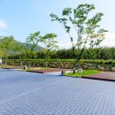 백석탄골부리캠핑장 이미지