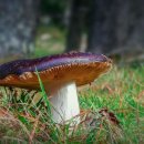 시온민박 이미지