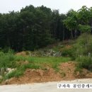 구자옥공인중개사사무소 이미지
