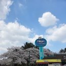 화랑골프랜드 | 32개월아기랑 서울랜드 | 연간이용권 | 36개월 무료 | 키 90cm 놀이기구 탈수 있는 종류 | 필수품...