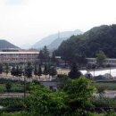 통리초등학교 Daum카페