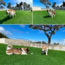 멍펜션13 이미지