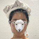 뽑고또뽑고 | 사랑니 하나 뽑고 아파서 운 후기… 운동 언제부터 할 수 있을까?
