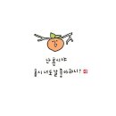 홍시언니네 이미지