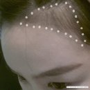 헤어라인섀도우 - 아리따움 헤어팡팡 후기
