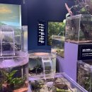 다누리 | 단양 여행 필수 코스🐟 아이랑 가기 좋은 다누리아쿠아리움 후기!