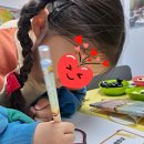 체스야 놀자 이미지