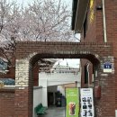 금옥사 | 금옥 | 행궁동 카페 | 행궁동 카페 추천 | 행궁동 데이트 | 행리단길 카페 | 행궁동 벚꽃