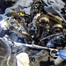 양산 반달곰 카센타 이미지