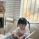 토끼의정원 | 토끼책방 봄독서 유아전집 10마리 토끼 친구들 상상정원 아이 반응 후기