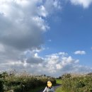 에코랜드CC | 2인 노캐디 골프장 에코랜드CC 예약 후기 11월 날씨