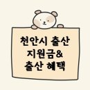 순성어린이집(순성초와통합) | [정보공유]2023년 천안시 출산 혜택&amp;출산 지원금 정리