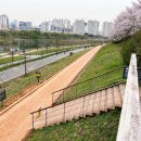 목동교 화장실 이미지