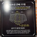 678 | 비주얼 쇼크 주의! 안양역 고기집 끝판왕 '678갈빗대' 솔직 후기