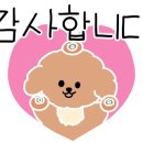 양평하늘호수 애견동반 단체펜션 이미지