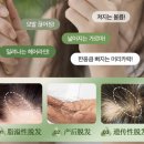 그린한방허브 | 글로벌 뷰티숍 입점! 발효실록 탈모 비누 숍 2주 사용 후기: 두피 변화의 시작