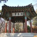 효도 권장비 이미지