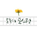 스페스커피