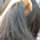 다름헤어 이미지