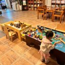 대세2농장 | 대전 대세북 전집전문 어린이서점 / 18개월 첫 전집으로 그레이트북스 놀라운자연 들였어요 / 지역화폐...