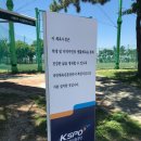 을숙도 리틀야구장 이미지