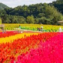 고석정광장 이미지