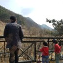 로뎀탁구장