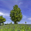 대산1로 이미지