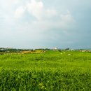 노을목장 이미지