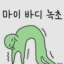 스테이 니와 이미지