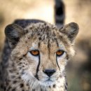 종은농장 이미지