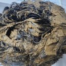 수자타 | 고데기,드라이 손상모 케어 추천!! 수자타 천연허브 헤어팩 리얼후기~!