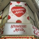 오사카 딸기 모찌 Strawberry Mania 스트로베리 매니아 솔직 후기!