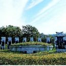 솔밭 1994 이미지