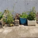 시민요양병원 이미지