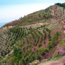 흥부골 자연휴양림 이미지