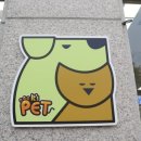 이츠펫 두정점 네이버블로그