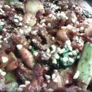 곱창과저팔계 이미지