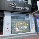 아담스펫강아지&가필드고양이 이미지